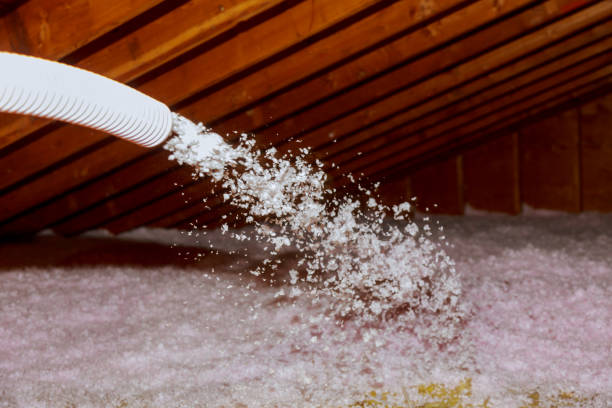 Best Commercial Insulation in Byron, MN